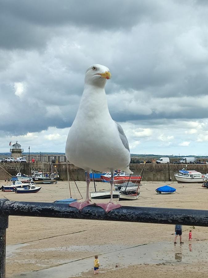 Cheerful Fisherman,S Cottage St Ives Exterior foto
